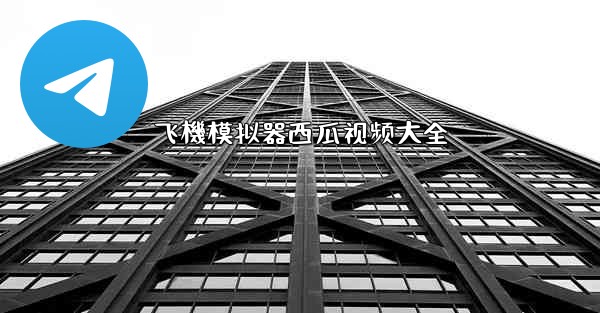 飞機模拟器西瓜视频大全