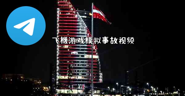 飞機游戏模拟事故视频