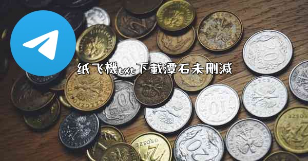 纸飞機txt下載潭石未刪減