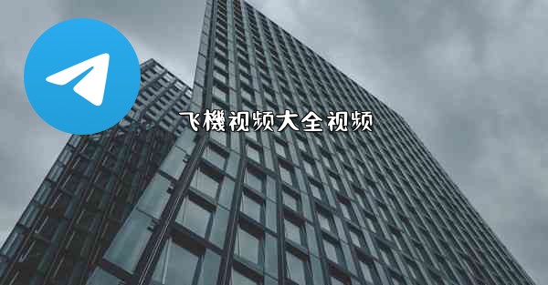 飞機视频大全视频