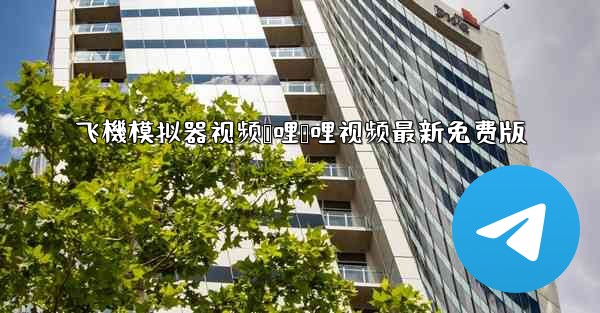 飞機模拟器视频哔哩哔哩视频最新免费版