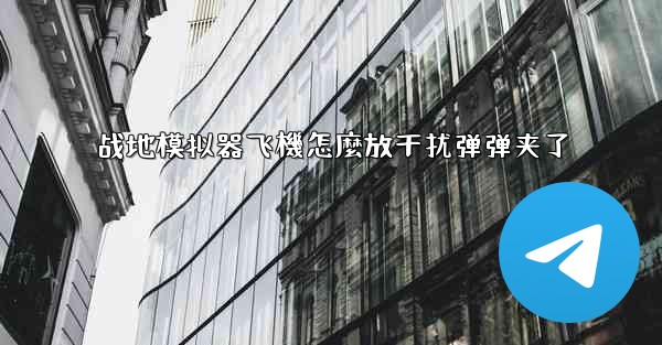 战地模拟器飞機怎麼放干扰弹弹夹了