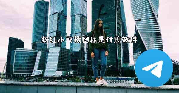 粉红小飞機图标是什麼軟件