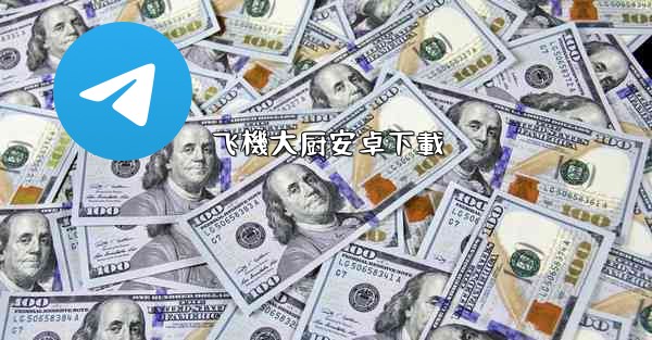 飞機大厨安卓下載