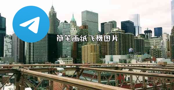 簡笔画纸飞機图片