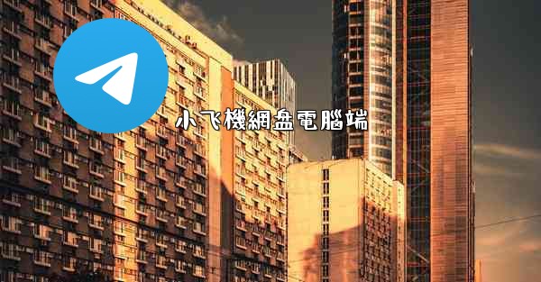 小飞機網盘電腦端