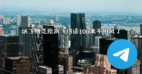 纸飞機怎麼折飞得遠100米不怕风了