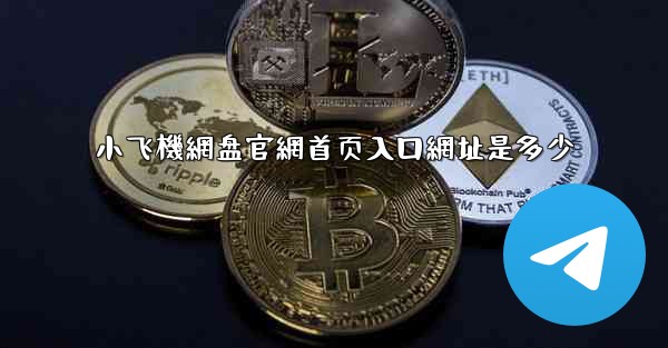 小飞機網盘官網首页入口網址是多少