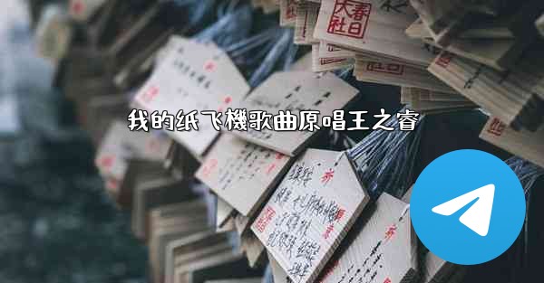 我的纸飞機歌曲原唱王之睿
