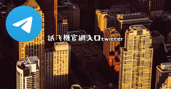 纸飞機官網入口twitter
