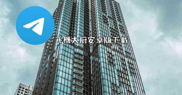 飞機大厨安卓版下載