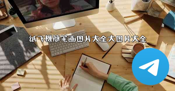 纸飞機簡笔画图片大全大图片大全