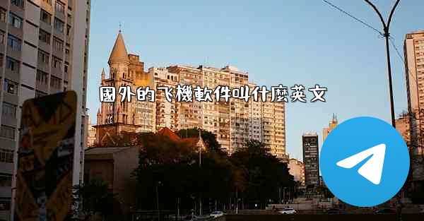 國外的飞機軟件叫什麼英文