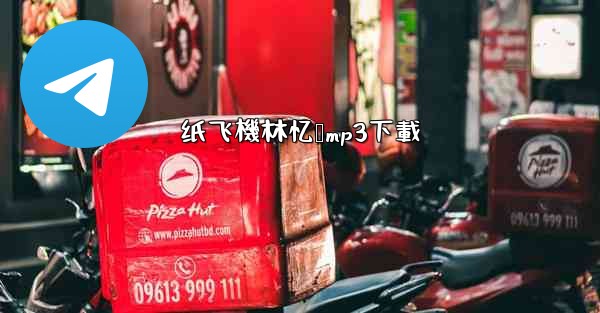 纸飞機林忆莲mp3下載