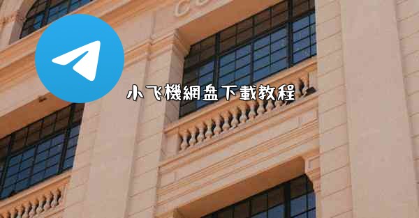 小飞機網盘下載教程