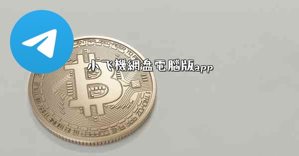 小飞機網盘電腦版app