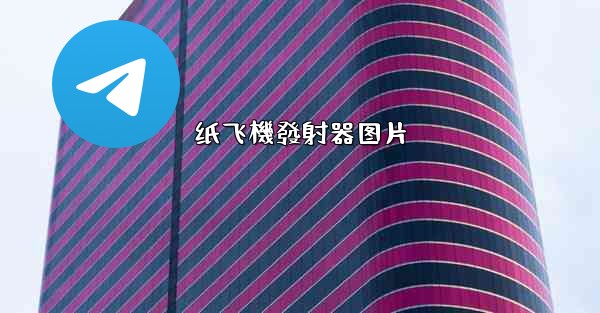 纸飞機發射器图片
