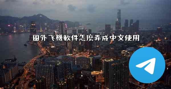 國外飞機軟件怎麼弄成中文使用