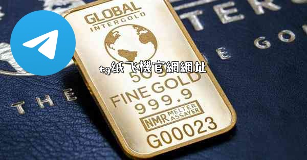 tg纸飞機官網網址