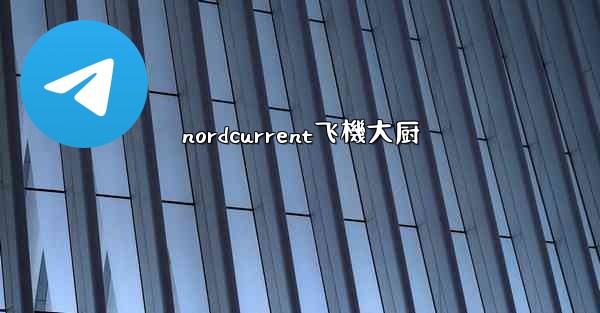 nordcurrent飞機大厨