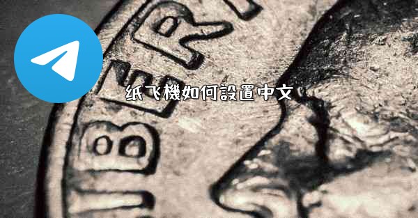纸飞機如何設置中文