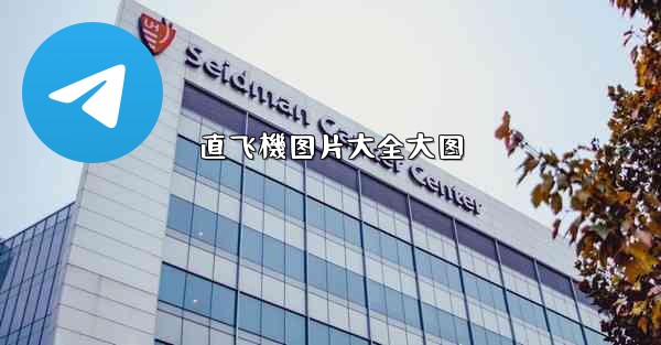 直飞機图片大全大图