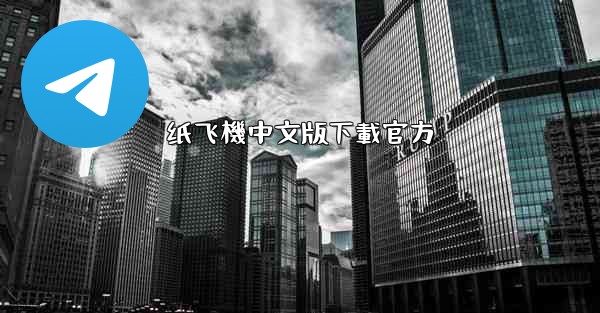纸飞機中文版下載官方