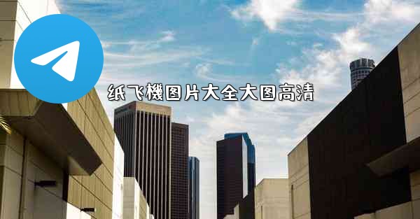 纸飞機图片大全大图高清