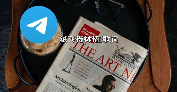 纸飞機林忆莲歌词