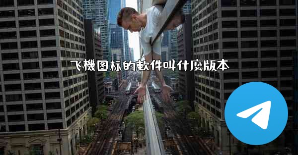 飞機图标的軟件叫什麼版本