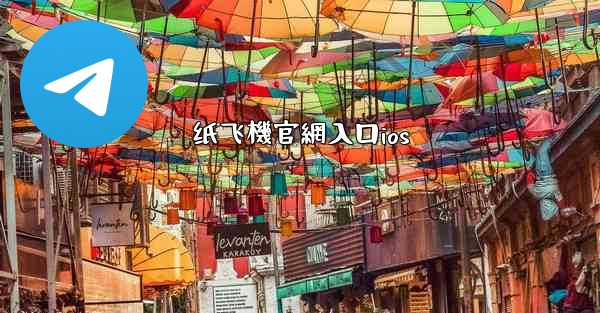 纸飞機官網入口ios