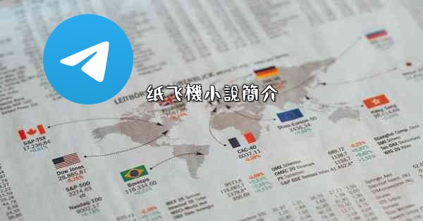 纸飞機小說簡介