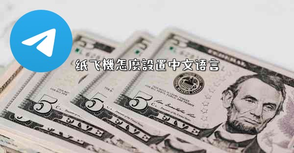 纸飞機怎麼設置中文语言