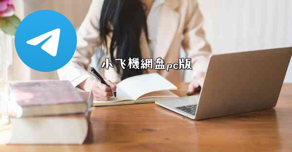 小飞機網盘pc版