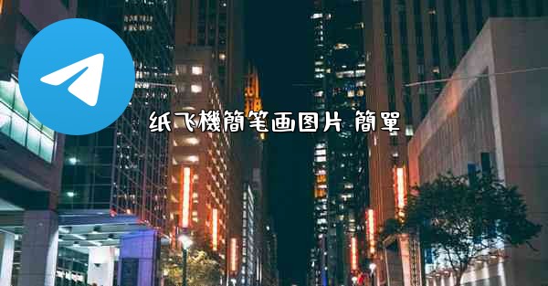 纸飞機簡笔画图片 簡單