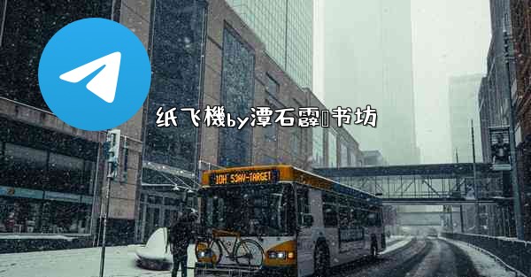 纸飞機by潭石霹雳书坊