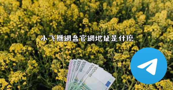 小飞機網盘官網地址是什麼