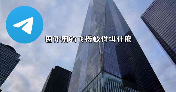 國外用的飞機軟件叫什麼