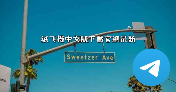 纸飞機中文版下載官網最新