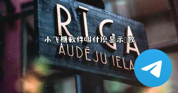 小飞機軟件叫什麼显示帧數