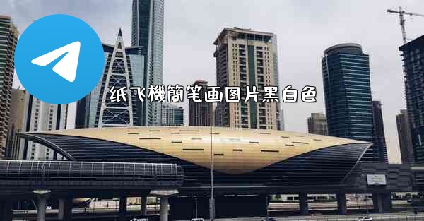 纸飞機簡笔画图片黑白色