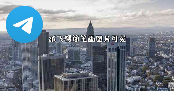 纸飞機簡笔画图片可爱