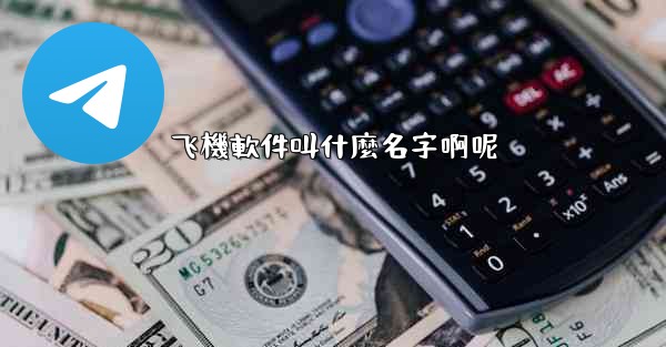 飞機軟件叫什麼名字啊呢
