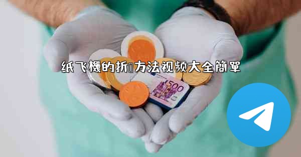 纸飞機的折叠方法视频大全簡單