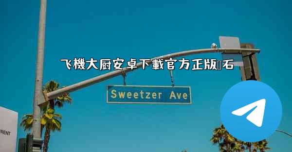 飞機大厨安卓下載官方正版钻石