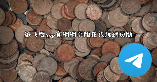 纸飞機app官網網页版在线玩網页版