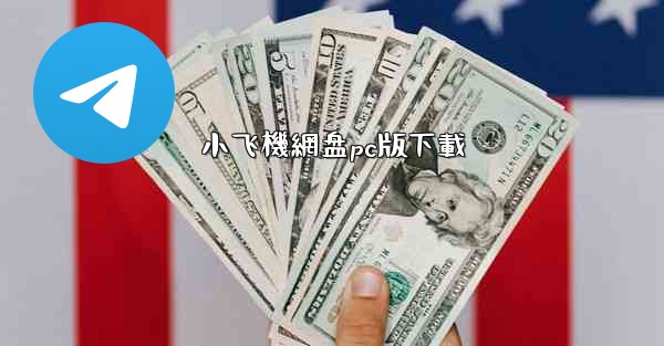 小飞機網盘pc版下載