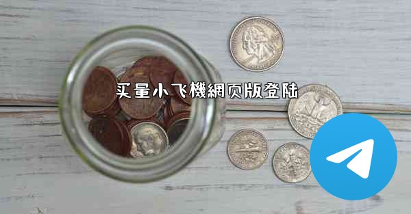 买量小飞機網页版登陆