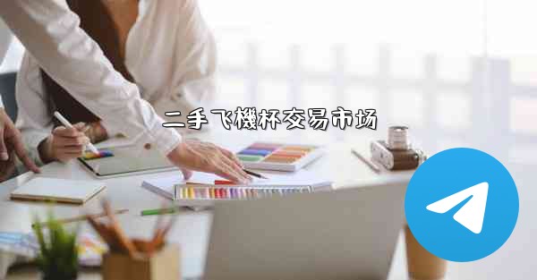 二手飞機杯交易市场