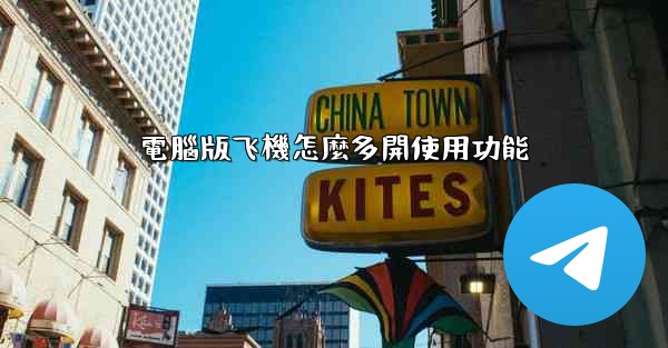 電腦版飞機怎麼多開使用功能